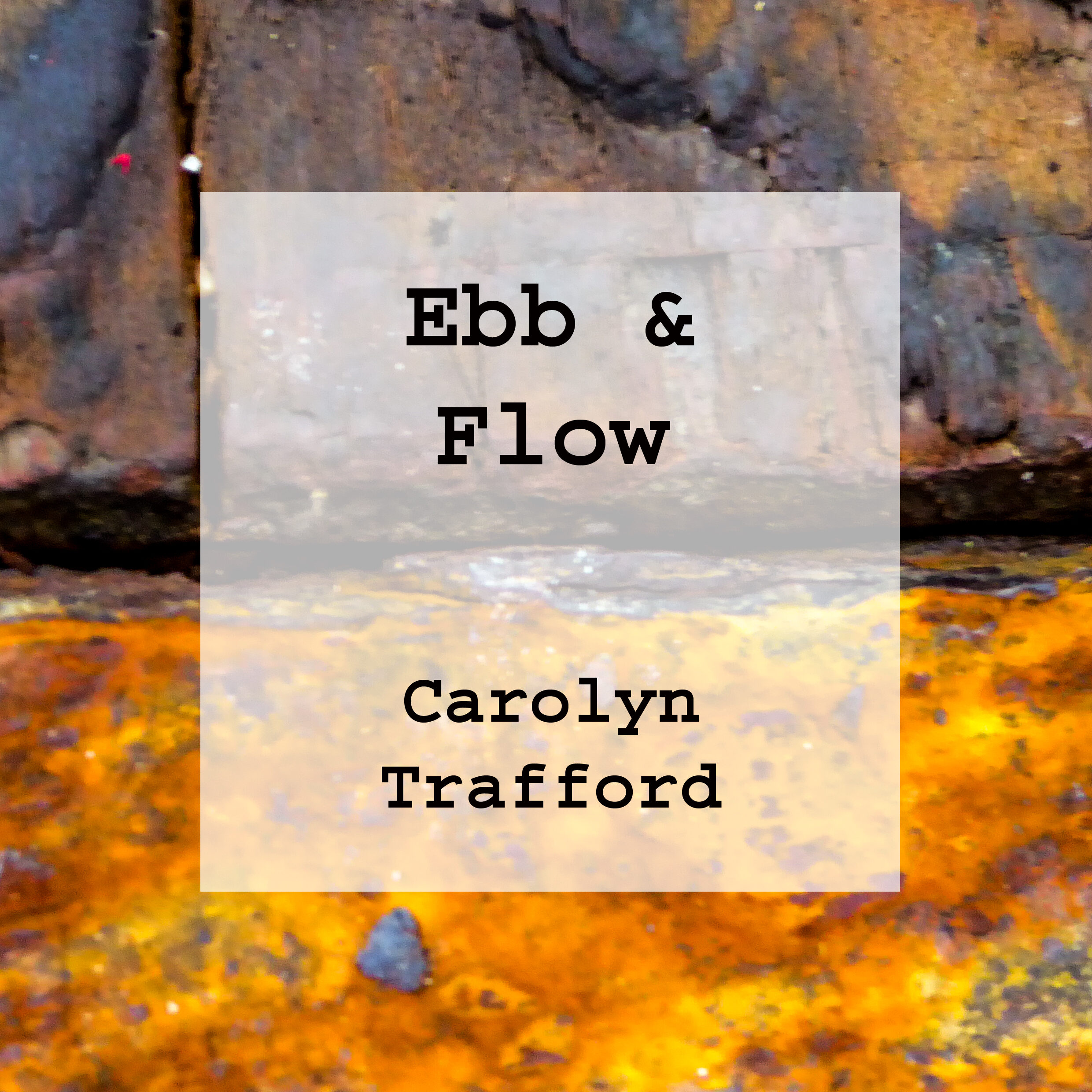 Ebb & Flow Book - a book about the Ebb & Flow Story