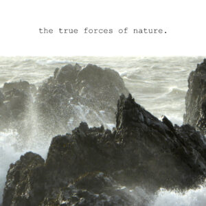 the true force of nature