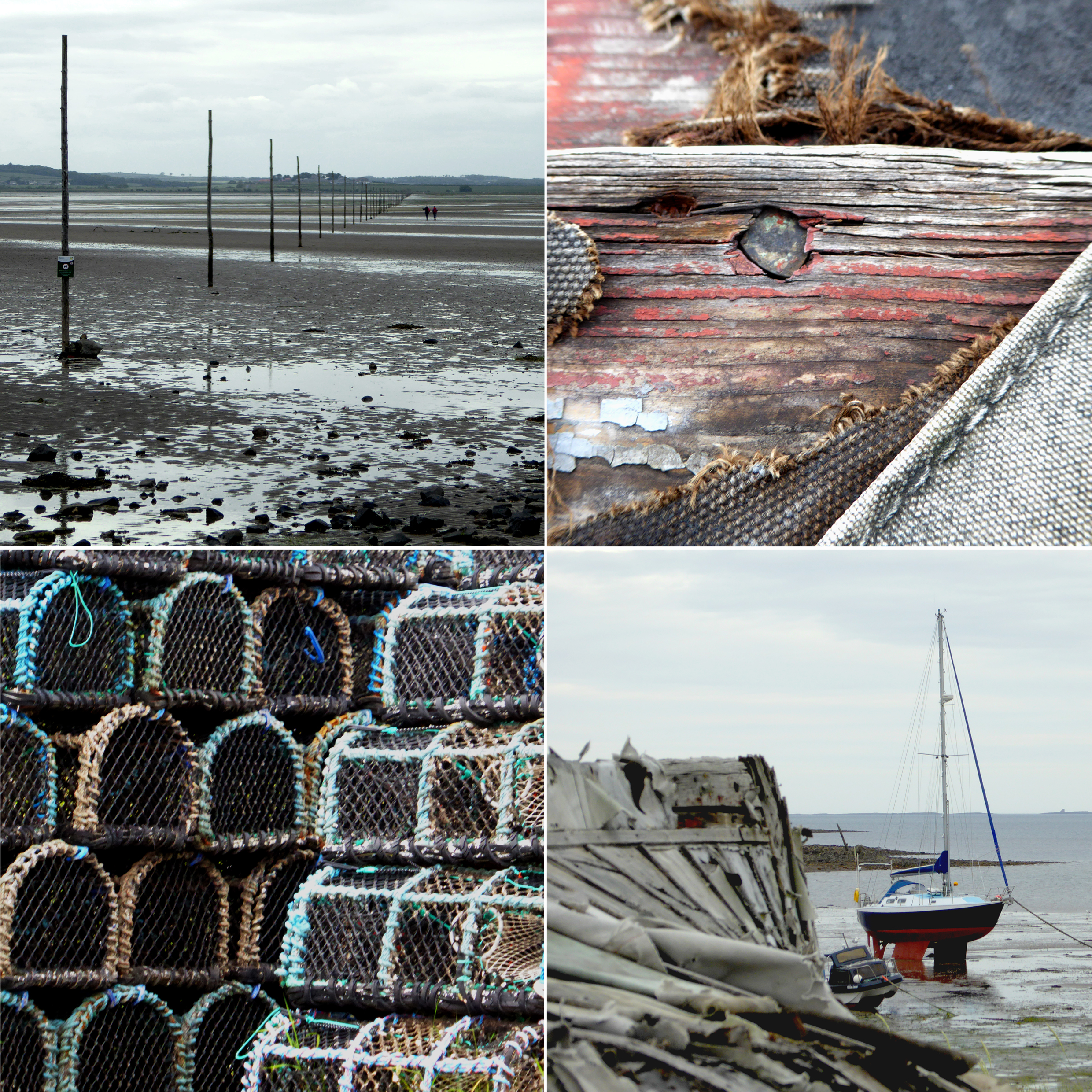 Selection of images from Ebb & Flow book featuring Northumberland