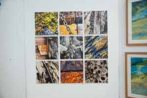 Group of 9 Ebb & Flow square photo boards