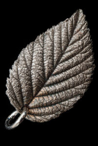 Blackberry Leaf in silver