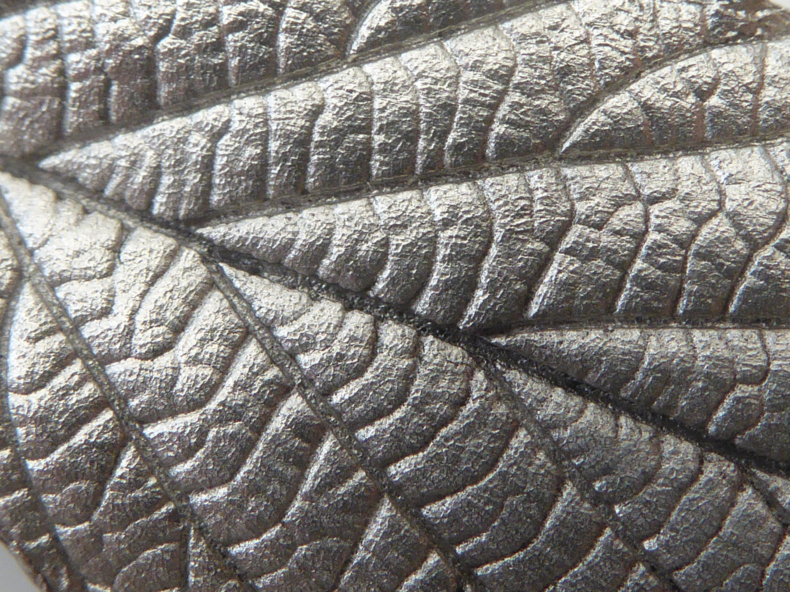 texture of vein detail on leaf