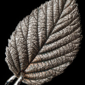 Blackberry Leaf in silver