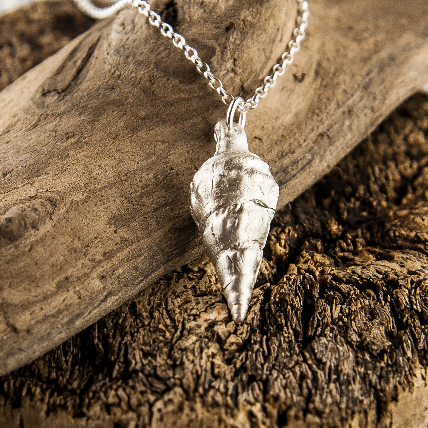 Tiny Conch Shell in Silver